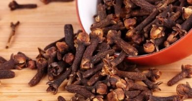 el clavo de olor puede salvarte la vida